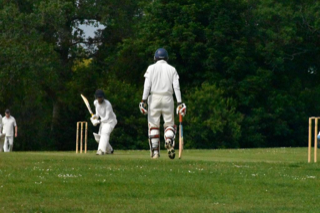 Not just Cricket.