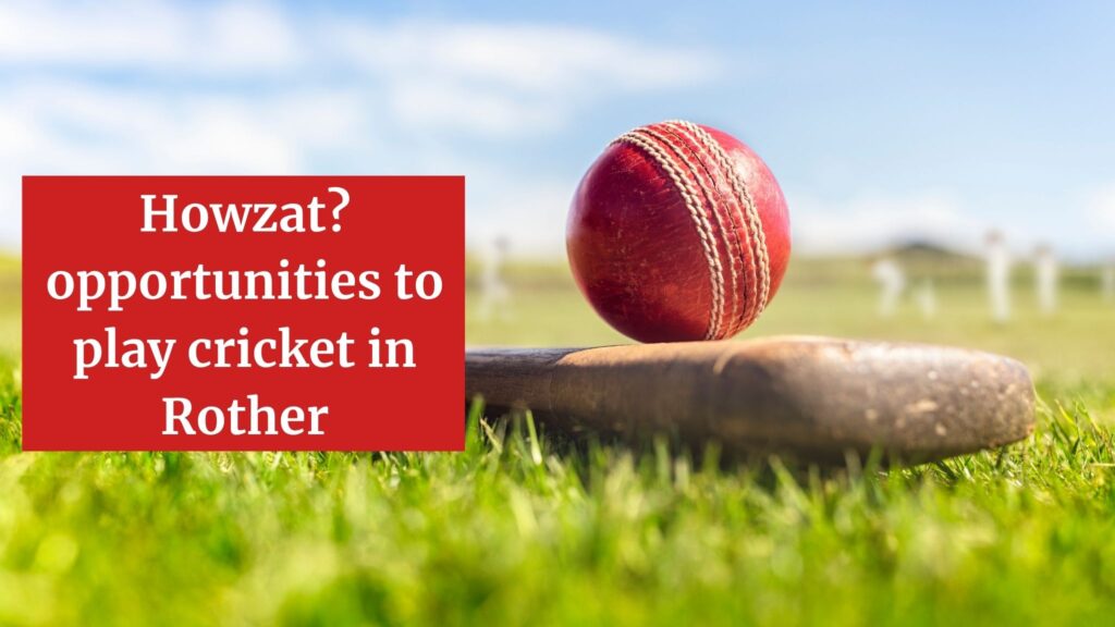 a cricket ball sits on a cricket bat in green grass. text reads Howzat? opportunities to play cricket in Rother