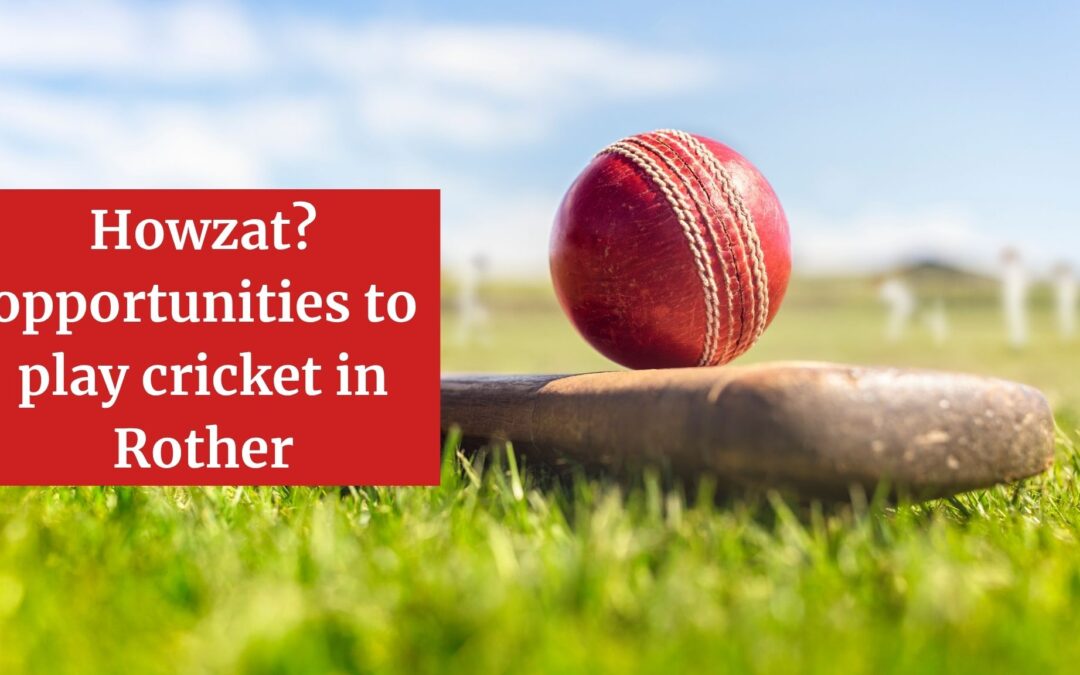 Howzat? opportunities to play cricket in Rother